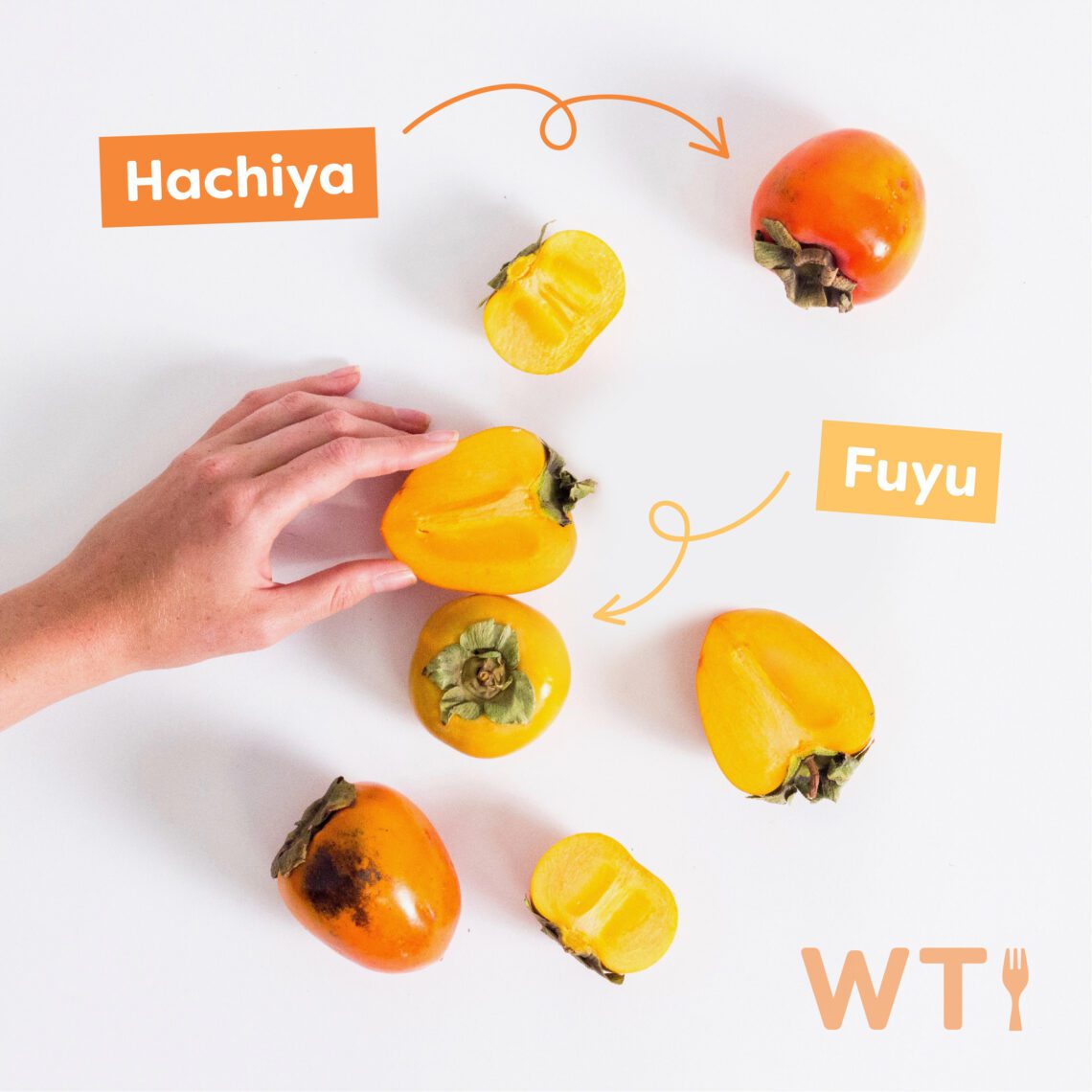 fuyu persimmons in season