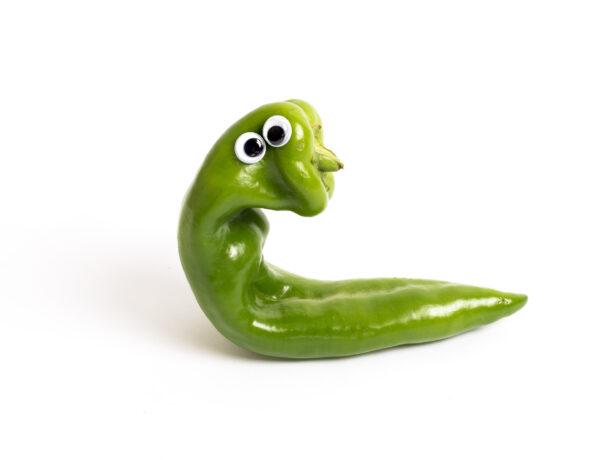 curvy pepper