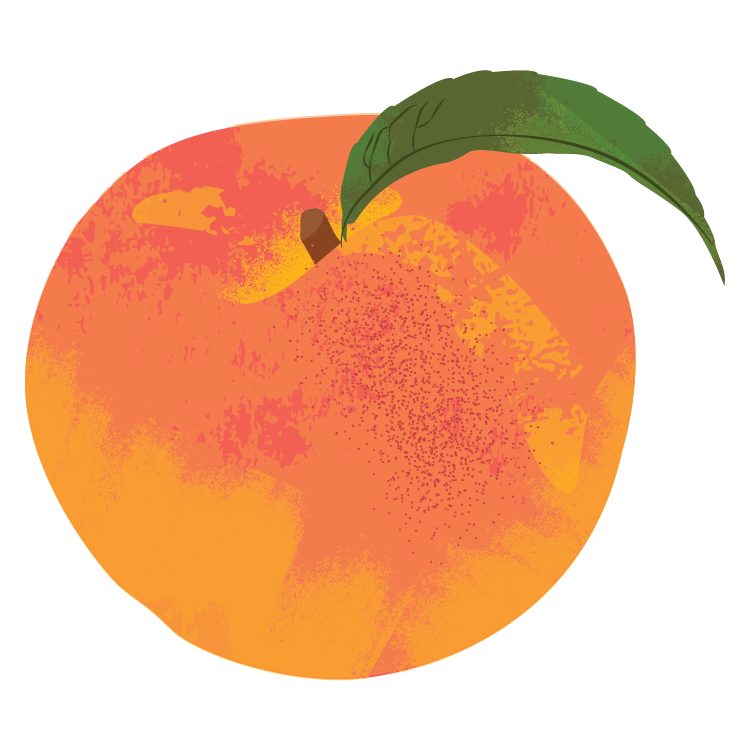orange and gold peach illustration